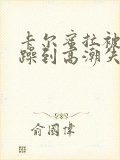 卡尔蜜拉被狂c躁到高潮失禁小说封面