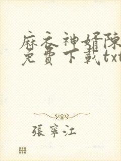 麻衣神婿陈黄皮免费下载txt封面