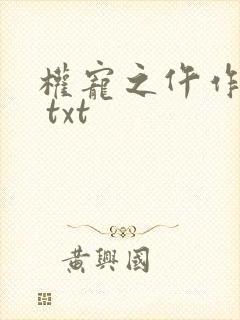 权宠之仵作医妃 txt封面