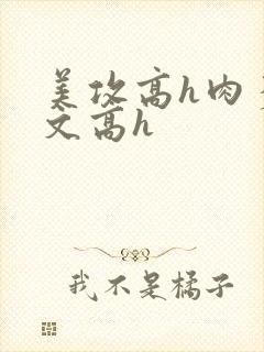 美攻高h肉多荤文高h