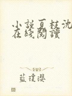 小说夏枝沈辞夜在线阅读