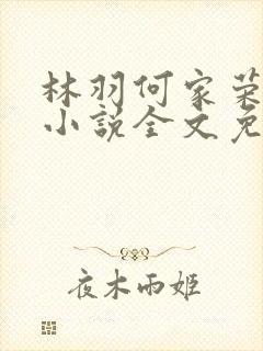 林羽何家荣江颜小说全文免费阅读全书