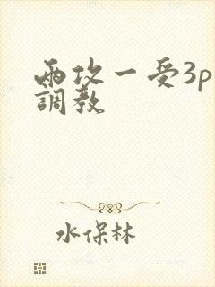 两攻一受3p～调教
