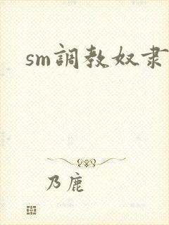 sm调教奴隶文