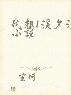 我想1溪夕汐的小说