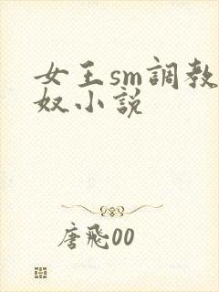 女王sm调教男奴小说