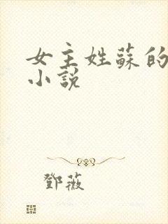 女主姓苏的现代小说