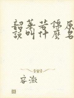 韶华若锦原著小说叫什么名字