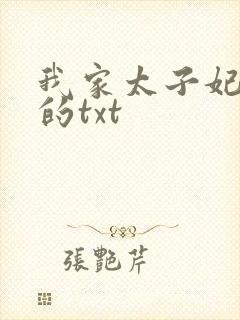我家太子妃超凶的txt