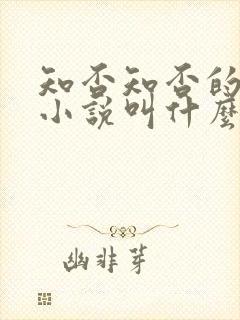 知否知否的原著小说叫什么名字