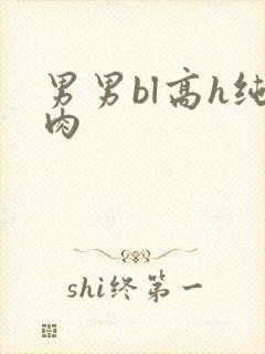 男男bl高h纯肉
