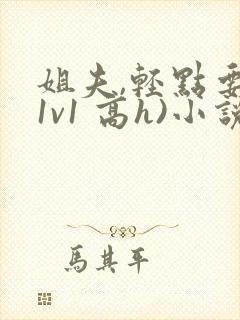 姐夫,轻点要(1v1 高h)小说