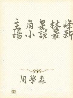 主角是林峰的官场小说最新章节更新内容封面