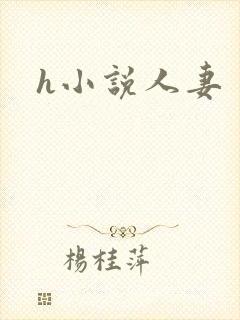 h小说人妻封面