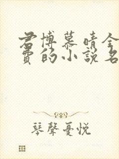 君博慕晴全文免费的小说名字