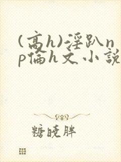 (高h)淫趴np伦h文小说封面