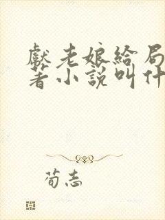 献老娘给局长原著小说叫什么名字