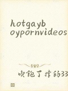 hotgayboypornvideos封面