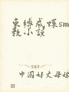 束缚成蝶sm调教小说