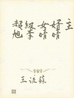 超级女婿主角赵旭李晴晴