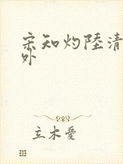宋知灼陆清衍番外封面
