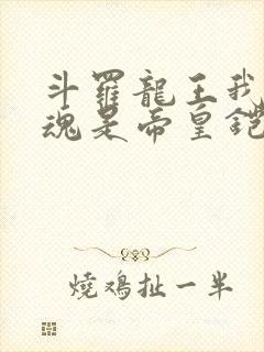 斗罗龙王我的武魂是帝皇铠甲免费阅读