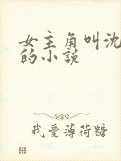 女主角叫沈清韵的小说