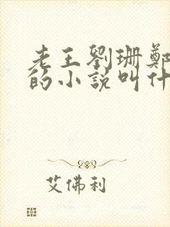 老王刘珊郑小爽的小说叫什么