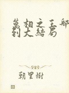万相之王哪能看到大结局封面