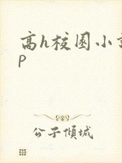 高h校园小说np封面