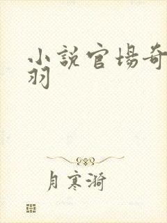 小说官场奇才陆羽