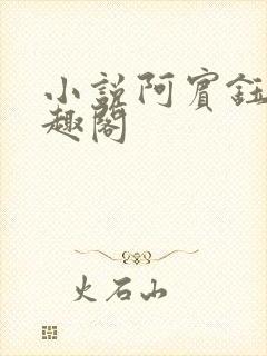小说阿宾钰慧笔趣阁