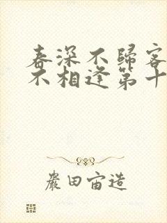 春深不归客清梦不相逢第十七章封面