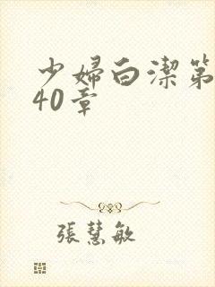 少妇白洁第1一40章