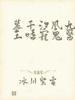慕千汐凰九夜邪王嗜宠鬼医狂妃无弹窗