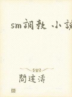 sm调教 小说