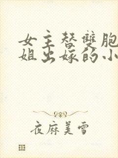 女主替双胞胎姐姐出嫁的小说封面