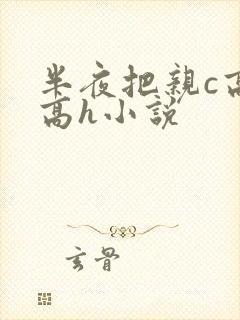 半夜把亲c高潮高h小说