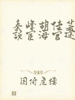 秦峰胡佳芸的小说宦海官途