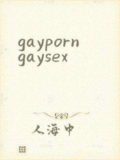 gayporngaysex