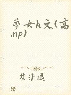 梦女h文(高h,np)