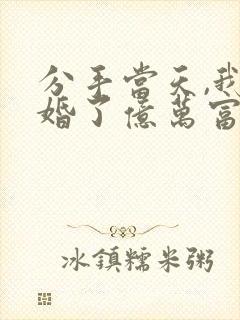 分手当天,我闪婚了亿万富豪小说