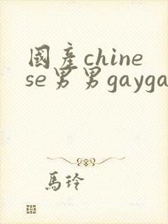 国产chinese男男gaygay 网站