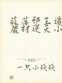 苏落邪王追妻:废材逆天小姐