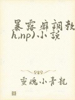暴露癖调教(高h,np)小说