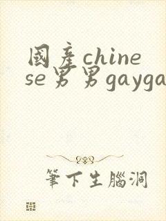 国产chinese男男gaygay网站软件封面