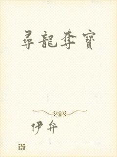 寻龙夺宝