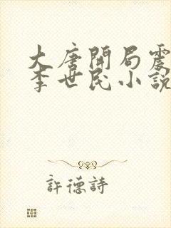 大唐开局震惊了李世民小说在线观看