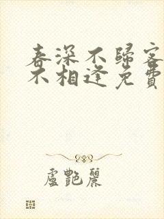 春深不归客清梦不相逢免费版