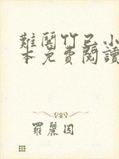 难哄竹已小说全本免费阅读封面